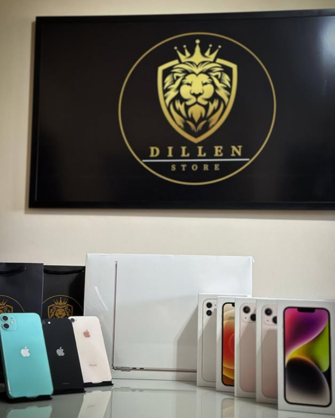 DILLEN-SITE-02