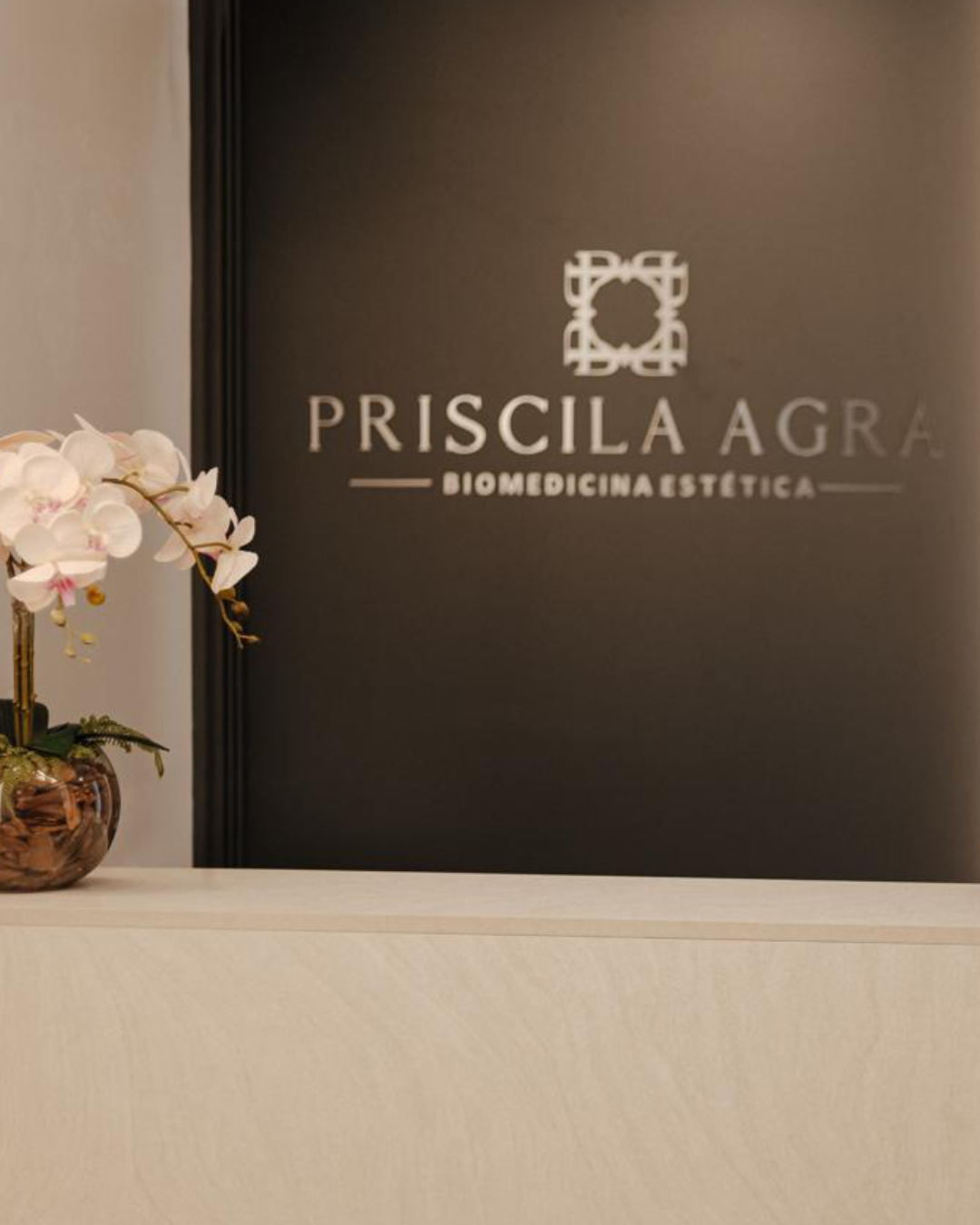 PRISCILA-FRAGA-SITE